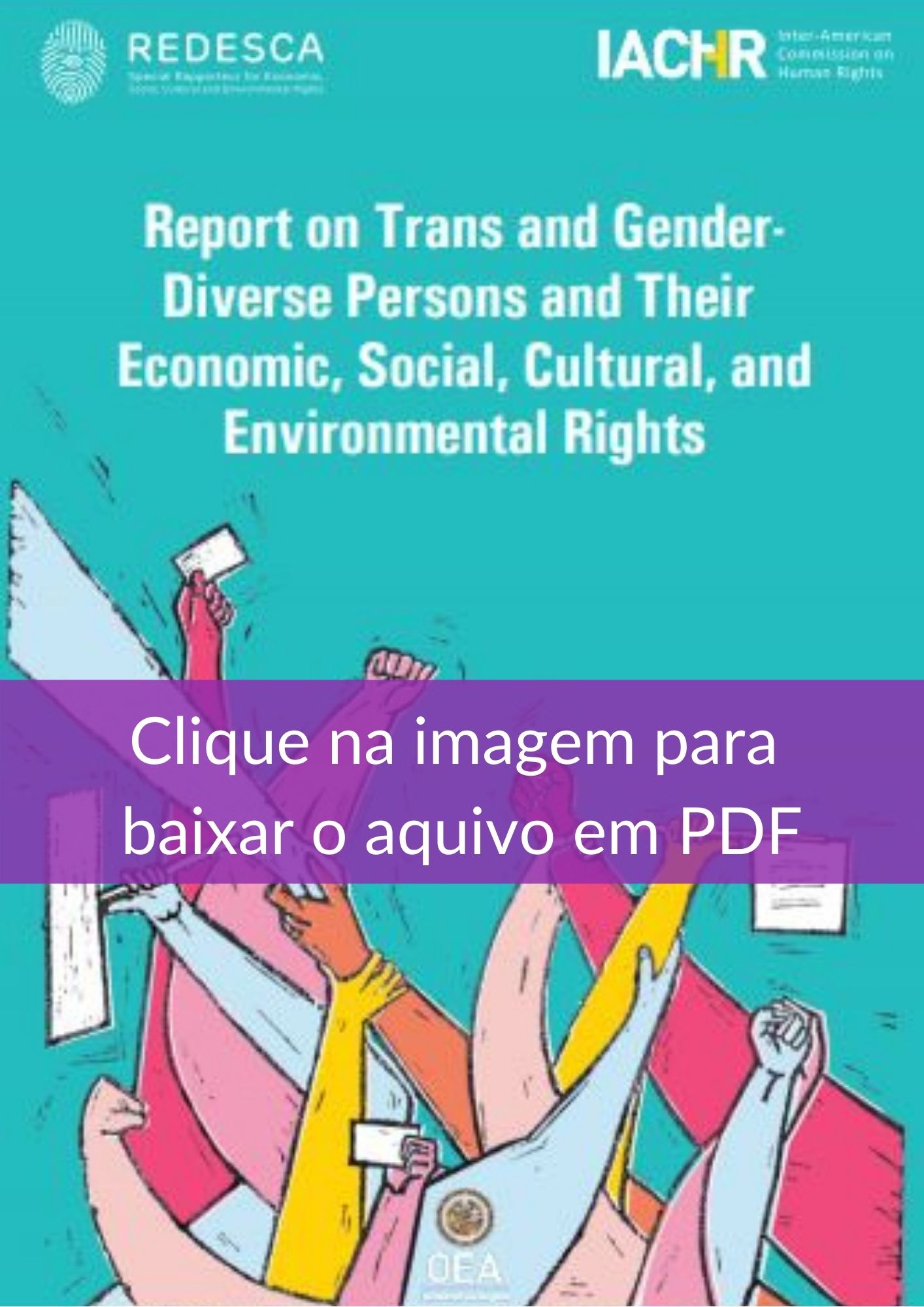 A CIDH e a sua REDESCA publicam o relatório temático Pessoas Trans e de Gênero Diverso e seus direitos econômicos sociais culturais e ambientais